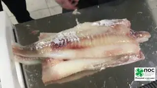 Шкуросъемная машина нашего производства для удаления шкуры у крупных рыб или мяса. Модель ШМУ-430
