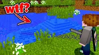 I found a weird sea temple in cube uhc