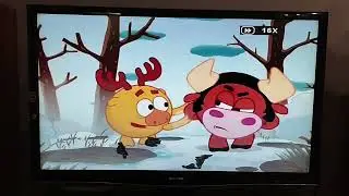 Обзор на DVD-диск Смешарики: 