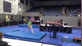 Raven Grant, Bay Valley Academy | L9 Vault 2017 Michigan State Meet