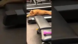 Я и спорт. 