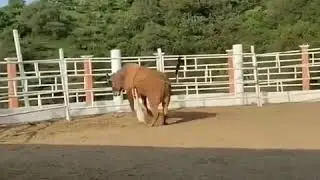 🤣🤣🤣🤣🤣