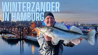 Zanderangeln in Hamburg im Winter! Tipps, Tricks und Gewinnspiel!