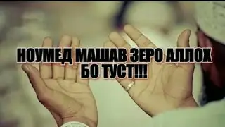НОУМЕД МАШАВ ЗЕРО АЛЛОХ БО ТУСТ--