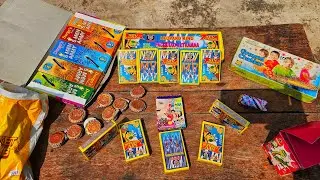 Crazy Diwali Experiment | Diwali Crackers Experiment | Diwali Stash Testing 2024 #diwali