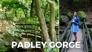 The Peak District - Padley Gorge