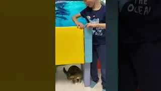 Строим Шатл 2 из набора Оптимальный
