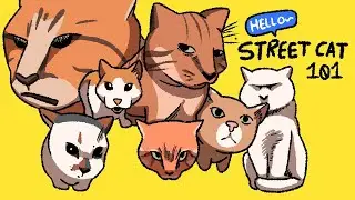 The Mr. Fresh Universe Explained: Hello Street Cat 101