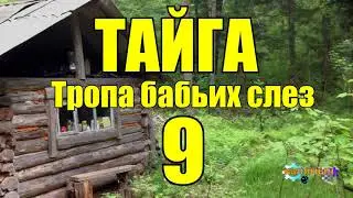 ОТШЕЛЬНИКИ | ЖИЗНЬ В ТАЙГЕ  9 из 16