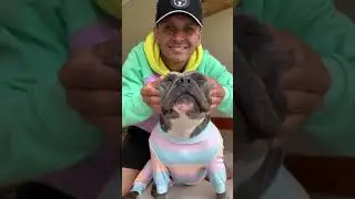 Os Melhores Momentos do SPA Pet - Nossa Rotina 