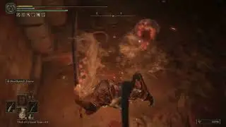 Elden Ring | Medieval rat torture