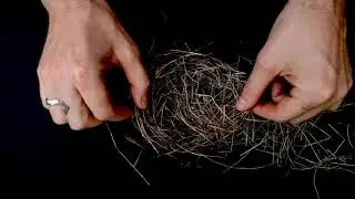 Hiss Golden Messenger - Terms of Surrender (Official Audio)