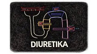 Diuretika: Wirkmechanismen einfach erklärt