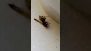 😱