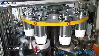 YG Paper Bowl Machine | Automatic Paper Bowl Forming Machine #paperbowl #paperbowlmachine #factory