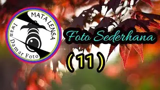 Foto Sederhana (11)