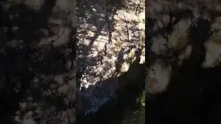 танец теней