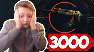 ПРАНК НАД БРАТОМ СКИНАМИ ИЗ CS:GO l БРАТ ОТКРЫВАЕТ КЕЙСЫ  НА САЙТЕ l БЕСПЛАТНЫЕ СКИНЫ CS:GO