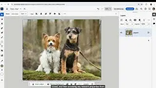 Photoshop On The Web Onboarding Tour Adobe Photoshop