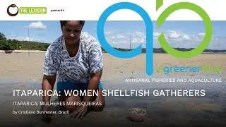 Itaparica: Women Shellfish Gatherers by Cristiano Burmester