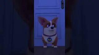 Flying MOCO 🐶 | Sleep Supervisor 監督早睡 | Flying MOCO Shorts 爆笑飛狗MOCO (2023)