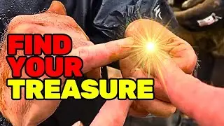 The Things You Can Find are Unbelievable | Metal Detecting Mash Up