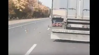 05.10.2016 БЫДЛО ДАЛЬНОБОЙЩИК vs ПЕНСИОНЕР