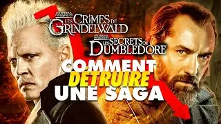 LES ANIMAUX FANTASTIQUES ne pouvait PAS marcher | #harrypotter