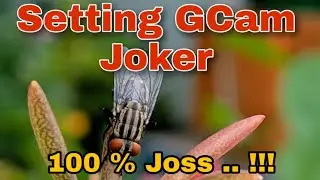 Setting Gcam Joker 2020 / Gcam Joker Mantul 100%