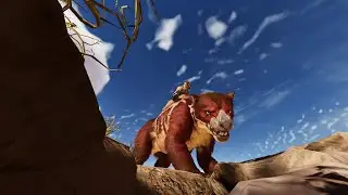 The Thyla is a Perfectly Balance Creature - ASA
