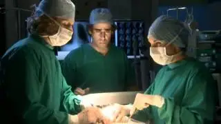 Greenwing Series 2 Guy sings