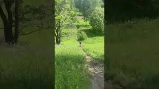 Кайо к1 🤩