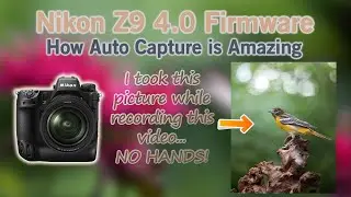 Nikon Z9 Fimware 4.0 and the Amazing Auto Capture Feature