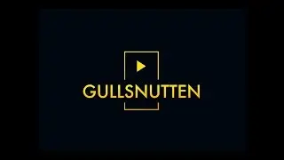 Gullsnutten 2017