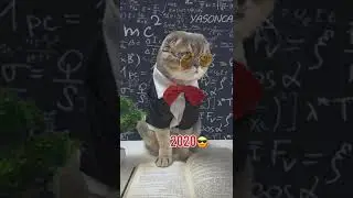 6996968197597465858