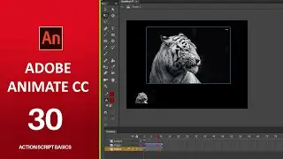 Adobe Animate CC Tutorial 30 | Action script basics | Beginners Tutorial
