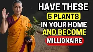 5 Powerful Plants That Will Instantly Attract Wealth to Your Life | Money Abundance Buddhism