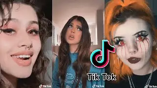 Baby, Here Boy - PITBULL TERRIER (Tik Tok Compilation)