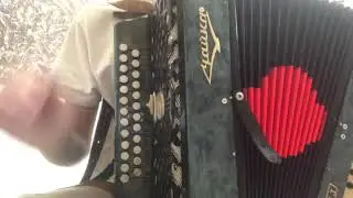 «Бас кызым эпипэ» на гармошке
