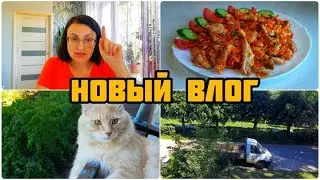 ВОЗМУЩЕНЬЮ НЕТ ПРЕДЕЛА 😬 ХЕ ИЗ КУРИЦЫ 🐤 СТОИТ ЛИ ГОТОВИТЬ 😊😉