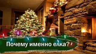 Почему на новый год ставят елку?