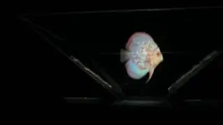 11752774 10207443819316648 1455939051 n 10207443817716608