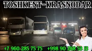 АВТОБУС Ташкент Краснодар,краснодар ташкент автобус,Toshkent Krasnodar AVTOBUS