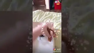 Достаю белку...