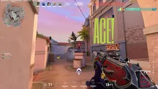 Gekko Ace - 1440P 🍃