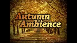 Zyphon - Autumn Ambience (Official Music Video)