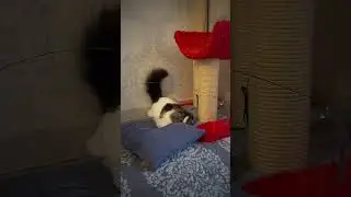 Еле справился...)))