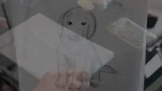 HOW TO DRAW A DOG -speed draws