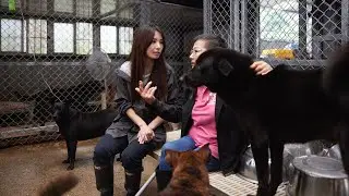 2022愛最大-讓愛永續 [ 田馥甄 X 張媽媽流浪動物之家 ] - 完整版