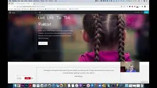 Part 3: Using the Beaver Builder Page Builder